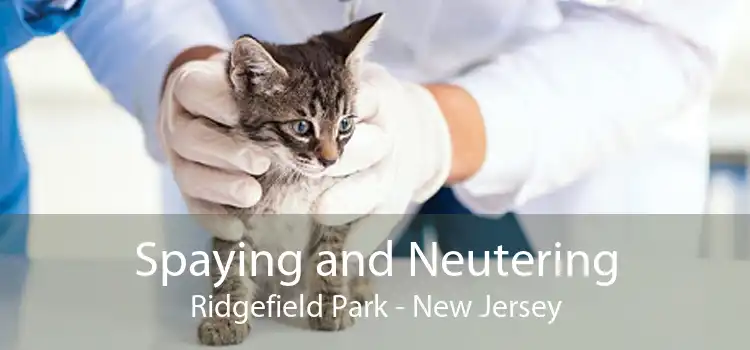 Spaying and Neutering Ridgefield Park - New Jersey