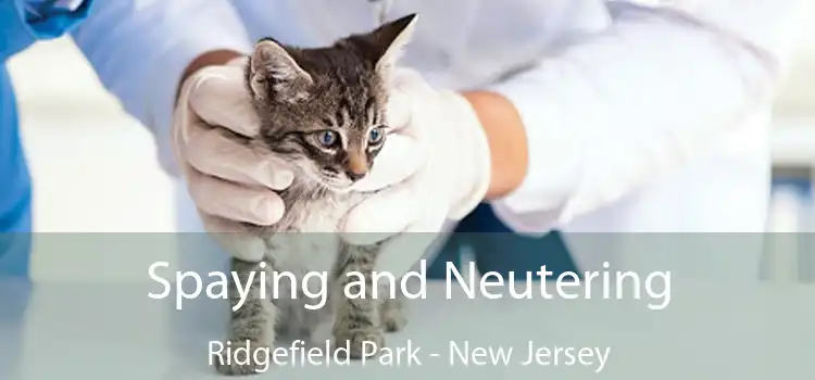 Spaying and Neutering Ridgefield Park - New Jersey