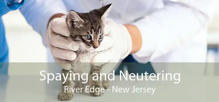 Spaying and Neutering River Edge - New Jersey