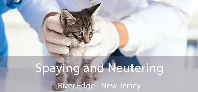 Spaying and Neutering River Edge - New Jersey
