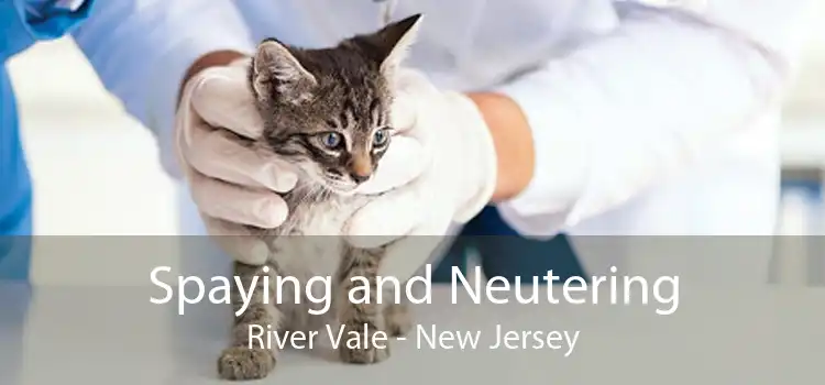 Spaying and Neutering River Vale - New Jersey