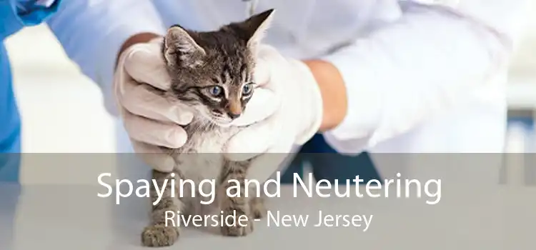 Spaying and Neutering Riverside - New Jersey