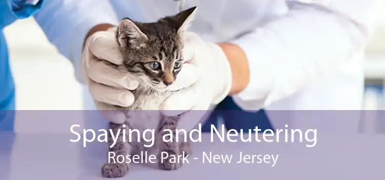 Spaying and Neutering Roselle Park - New Jersey