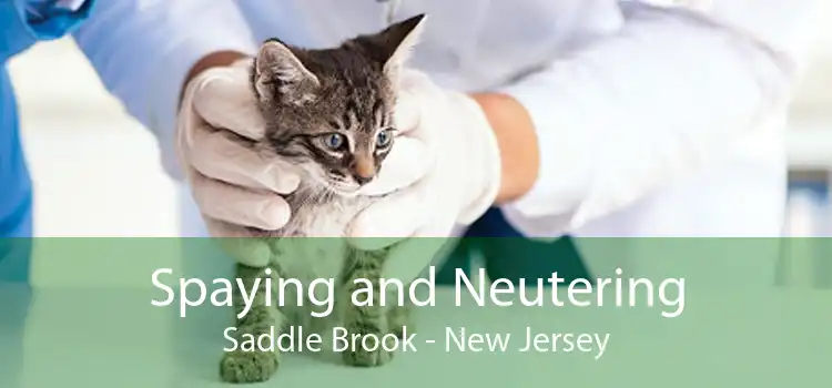 Spaying and Neutering Saddle Brook - New Jersey