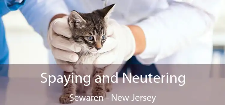 Spaying and Neutering Sewaren - New Jersey