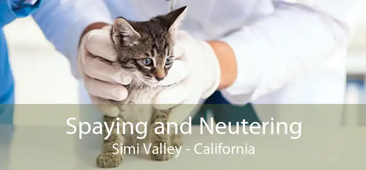 Spaying and Neutering Simi Valley - California