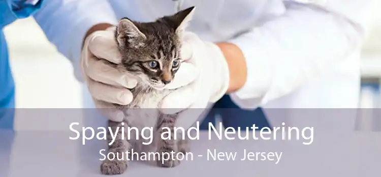 Spaying and Neutering Southampton - New Jersey