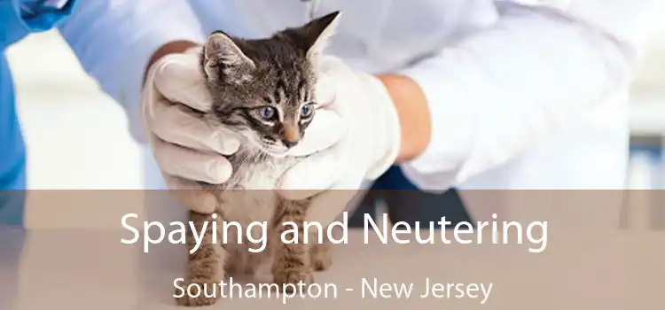 Spaying and Neutering Southampton - New Jersey
