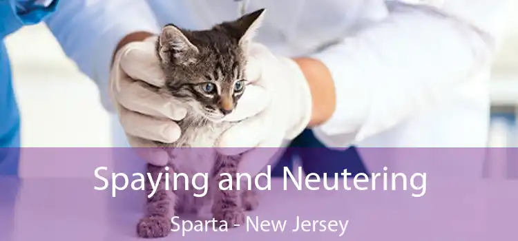 Spaying and Neutering Sparta - New Jersey