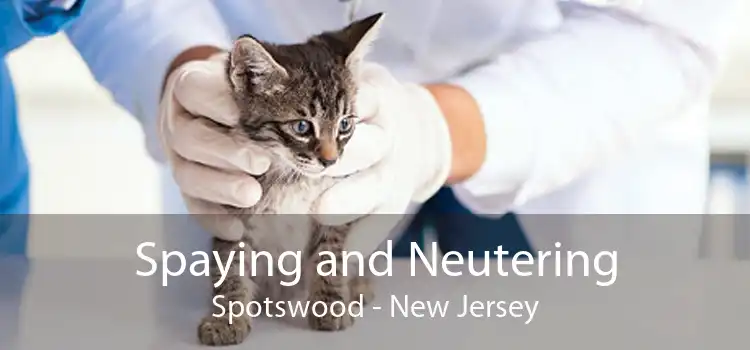 Spaying and Neutering Spotswood - New Jersey