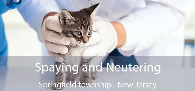 Spaying and Neutering Springfield township - New Jersey