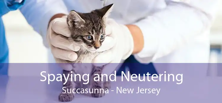 Spaying and Neutering Succasunna - New Jersey