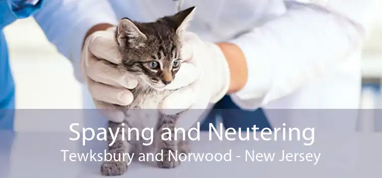 Spaying and Neutering Tewksbury and Norwood - New Jersey