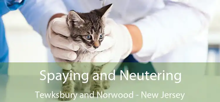 Spaying and Neutering Tewksbury and Norwood - New Jersey