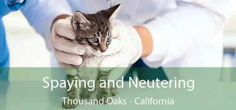 Spaying and Neutering Thousand Oaks - California