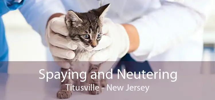 Spaying and Neutering Titusville - New Jersey