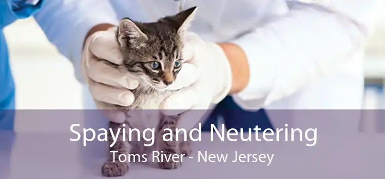 Spaying and Neutering Toms River - New Jersey