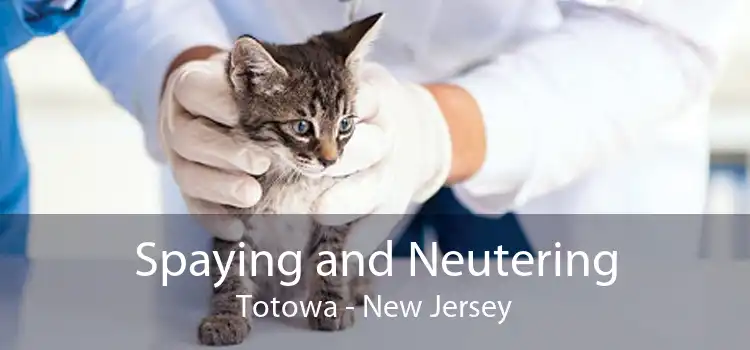Spaying and Neutering Totowa - New Jersey
