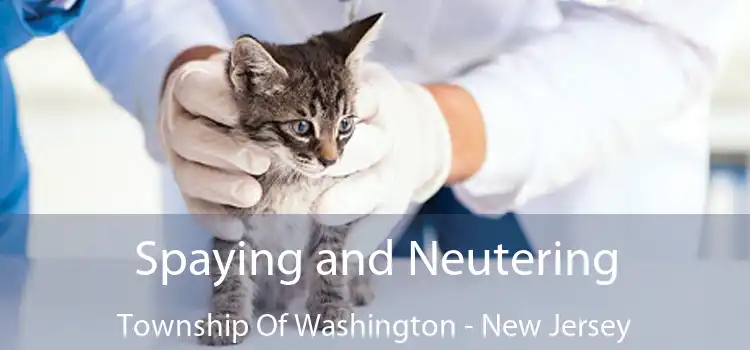 Spaying and Neutering Township Of Washington - New Jersey