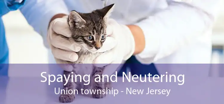 Spaying and Neutering Union township - New Jersey
