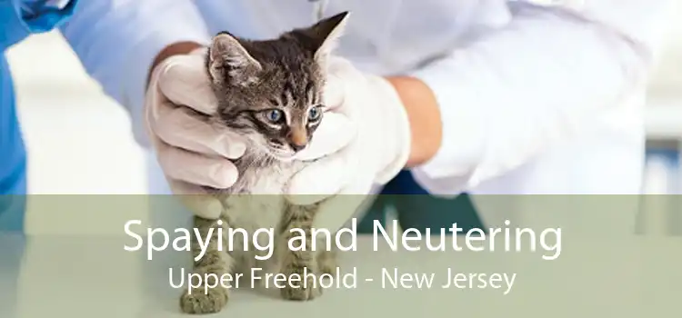 Spaying and Neutering Upper Freehold - New Jersey