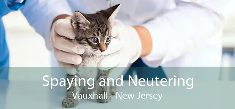 Spaying and Neutering Vauxhall - New Jersey
