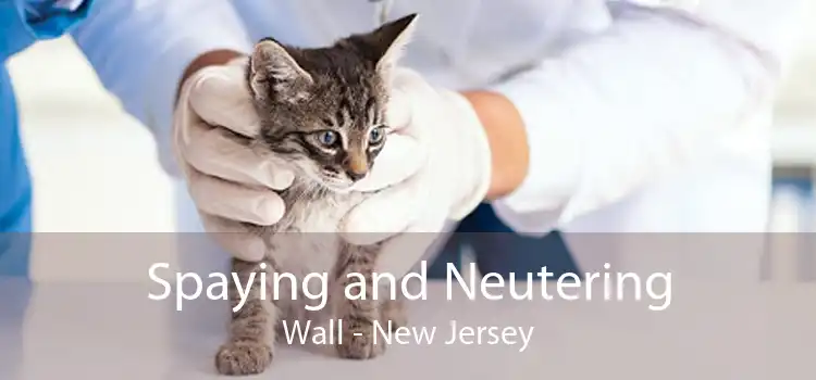 Spaying and Neutering Wall - New Jersey