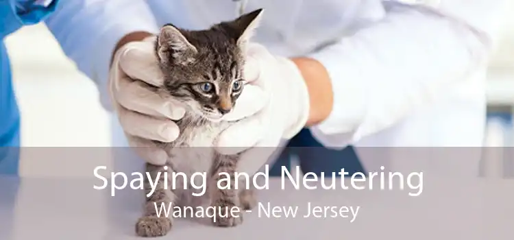 Spaying and Neutering Wanaque - New Jersey
