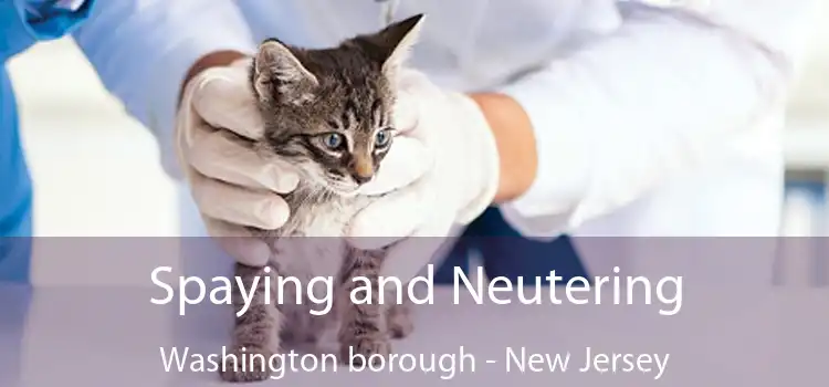 Spaying and Neutering Washington borough - New Jersey