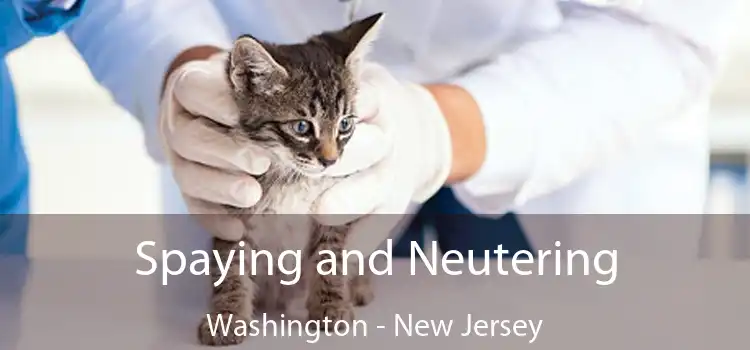 Spaying and Neutering Washington - New Jersey