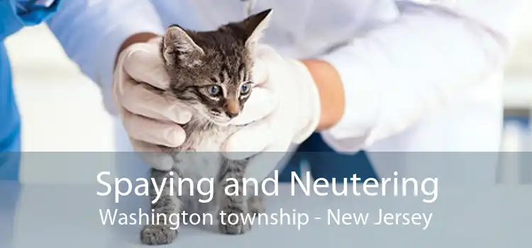 Spaying and Neutering Washington township - New Jersey