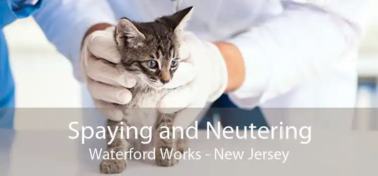 Spaying and Neutering Waterford Works - New Jersey