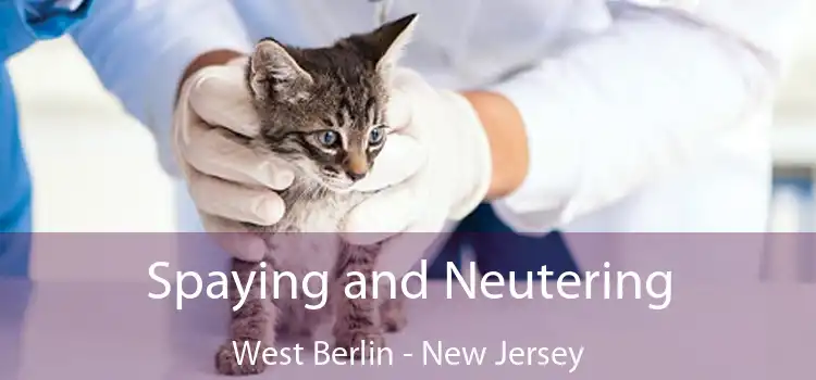 Spaying and Neutering West Berlin - New Jersey