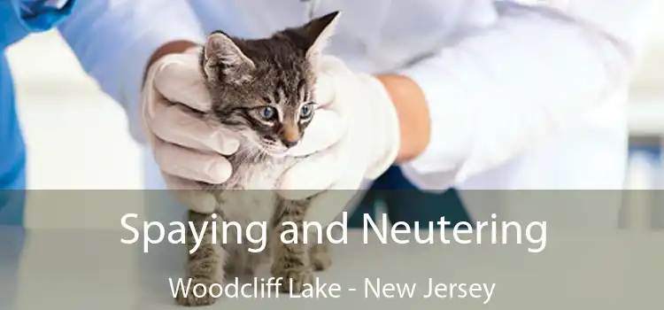 Spaying and Neutering Woodcliff Lake - New Jersey