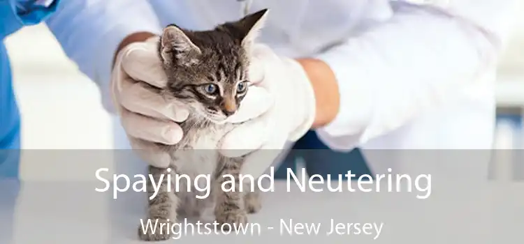 Spaying and Neutering Wrightstown - New Jersey