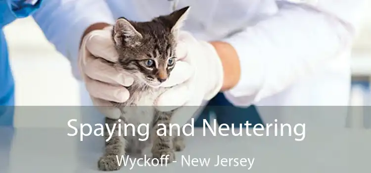 Spaying and Neutering Wyckoff - New Jersey