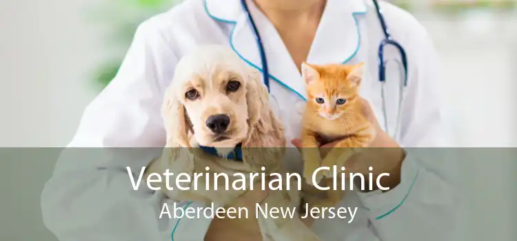 Veterinarian Clinic Aberdeen New Jersey