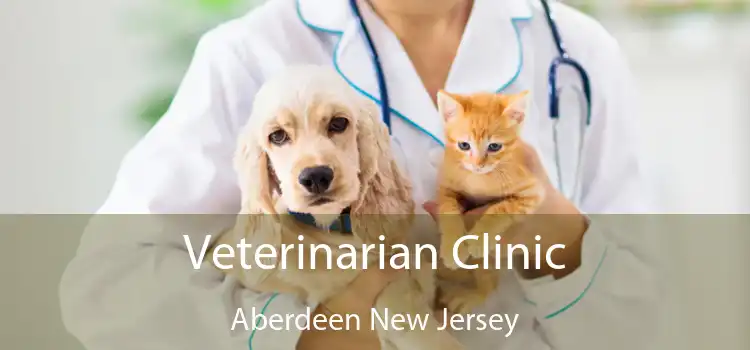 Veterinarian Clinic Aberdeen New Jersey