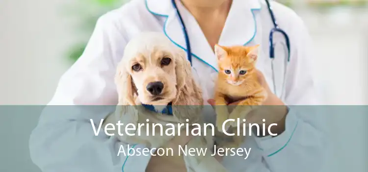 Veterinarian Clinic Absecon New Jersey