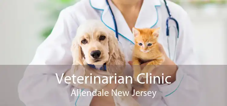 Veterinarian Clinic Allendale New Jersey