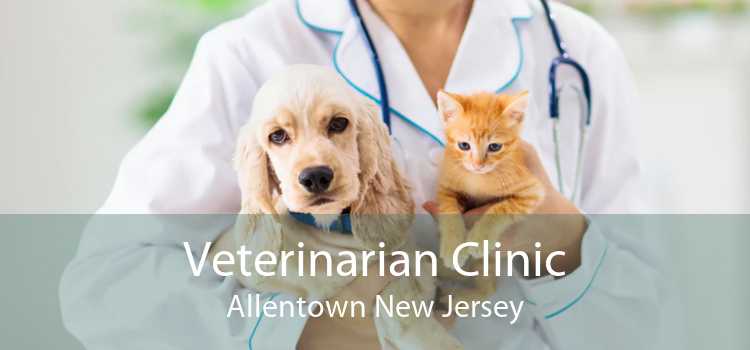 Veterinarian Clinic Allentown New Jersey