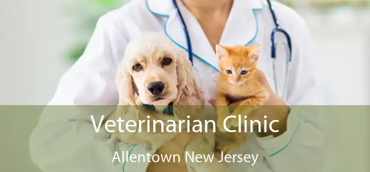 Veterinarian Clinic Allentown New Jersey