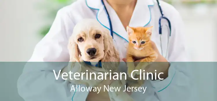 Veterinarian Clinic Alloway New Jersey