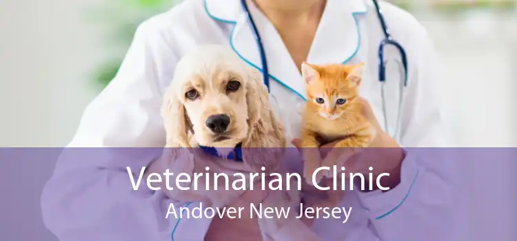 Veterinarian Clinic Andover New Jersey