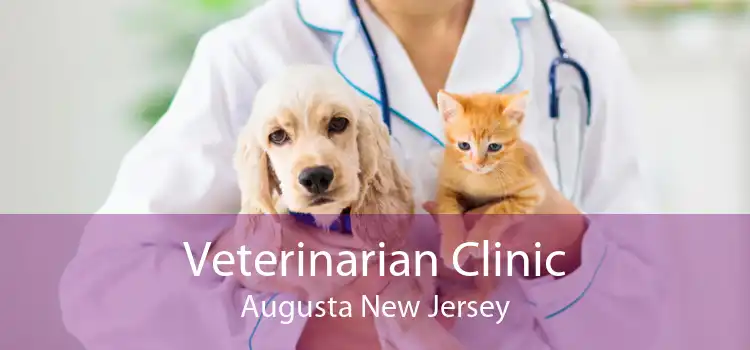Veterinarian Clinic Augusta New Jersey