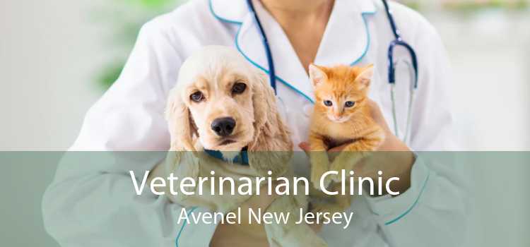 Veterinarian Clinic Avenel New Jersey