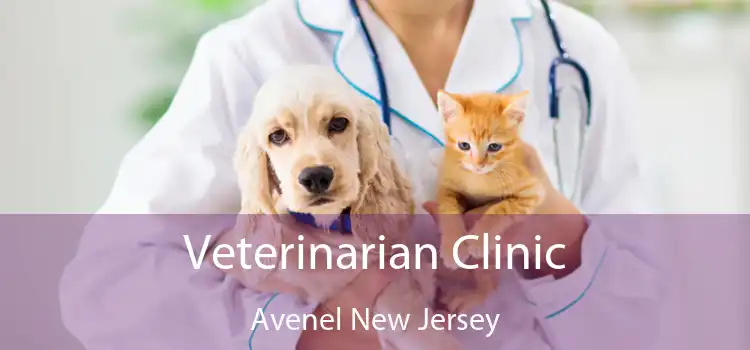 Veterinarian Clinic Avenel New Jersey