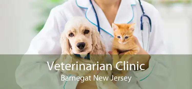 Veterinarian Clinic Barnegat New Jersey