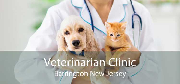 Veterinarian Clinic Barrington New Jersey