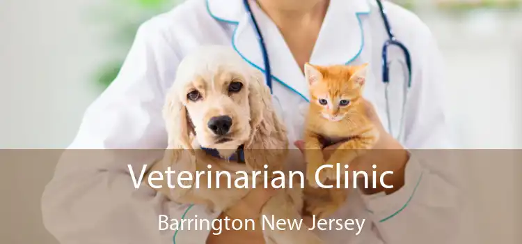 Veterinarian Clinic Barrington New Jersey
